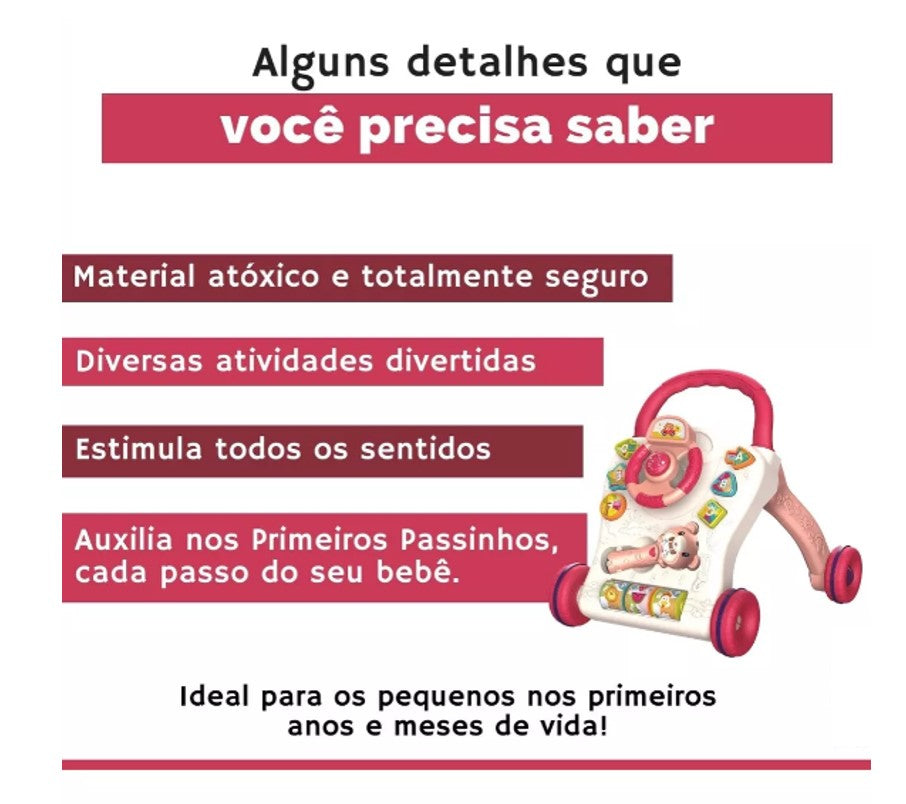 Apoiador Infantil Didatico Musical Rosa - Zoop Toys