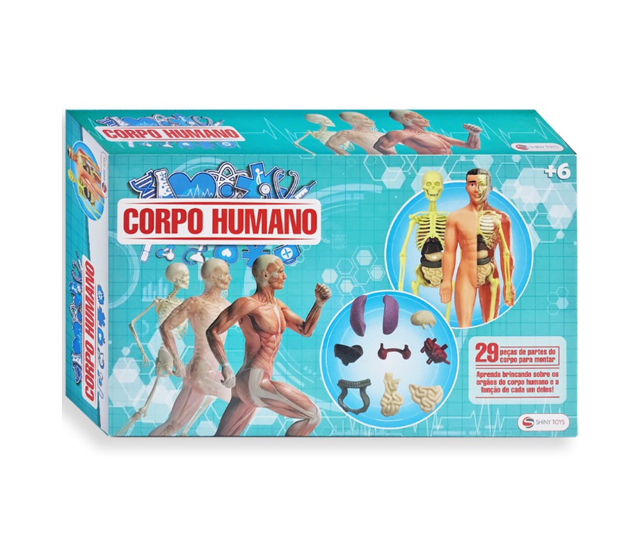 Jogo Infantil Corpo Humano - Shiny Toys