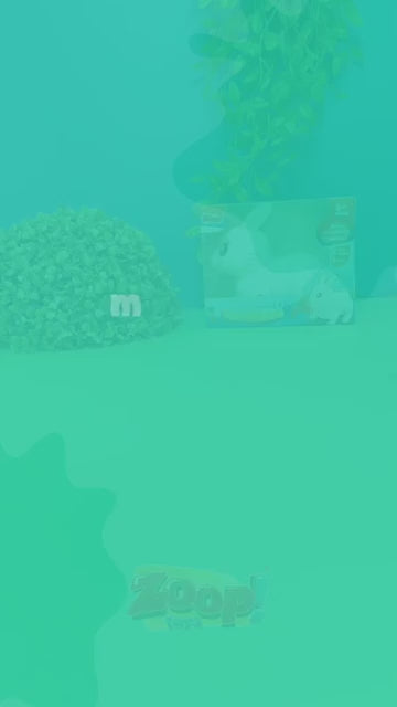 Brinquedo Coelhinho Saltitante Com Sons, Músicas E Luzes