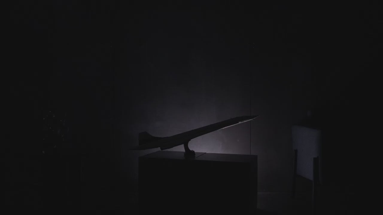 Lego Icons Aeronave Supersônica Concorde - 10318