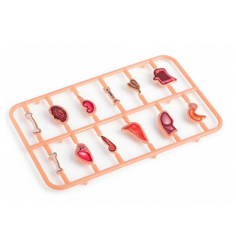 Jogo Doctor Brinq Brinquedo Operação Cirurgia - POLIBRINQ