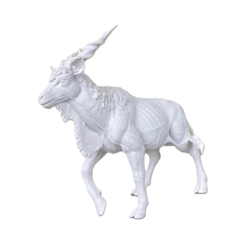 Brinquedo Animal Selvagem Para Colorir Pintura