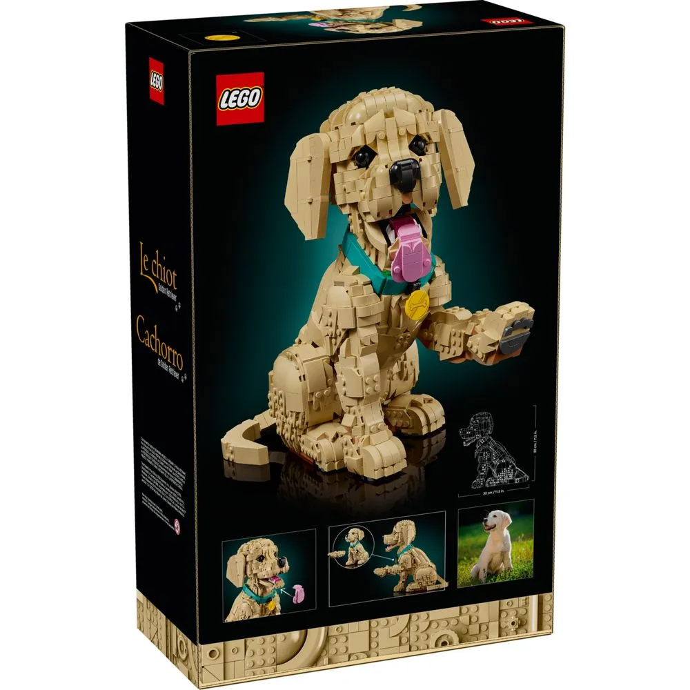 Lego Icons Filhote de Golden Retriever - 11384