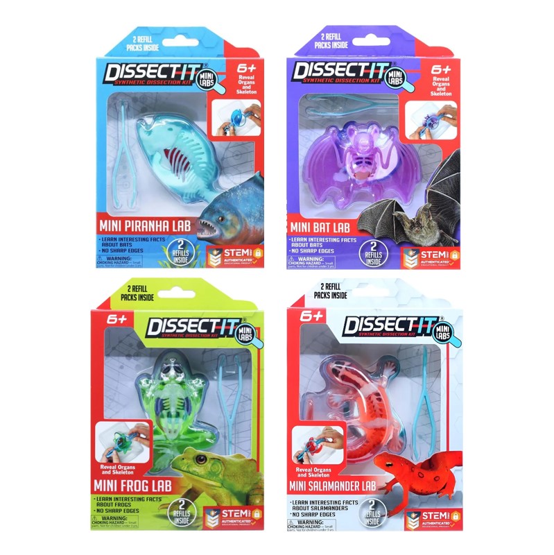 Kit De Dissecação Mini Lab Dissect-it - Candide