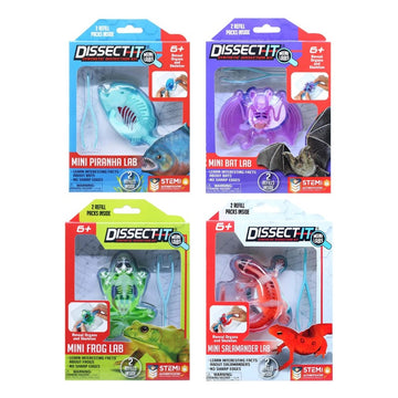 Kit De Dissecação Mini Lab Dissect-it - Candide