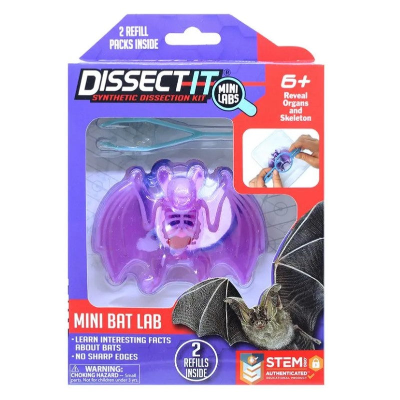 Kit De Dissecação Mini Lab Dissect-it - Candide