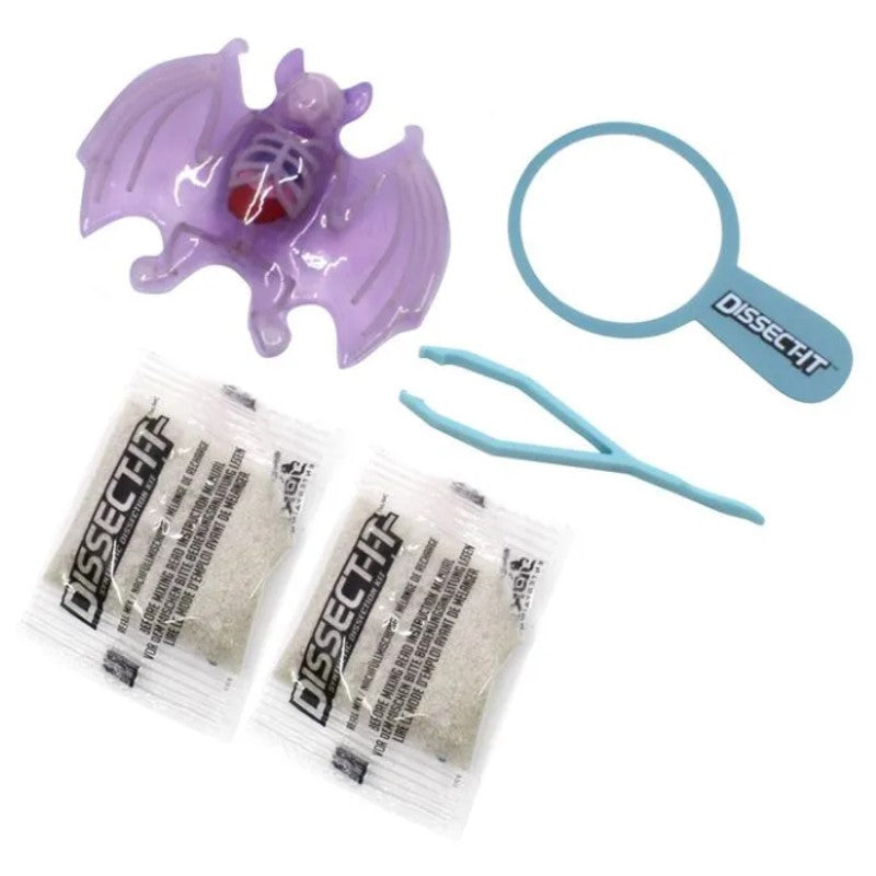 Kit De Dissecação Mini Lab Dissect-it - Candide