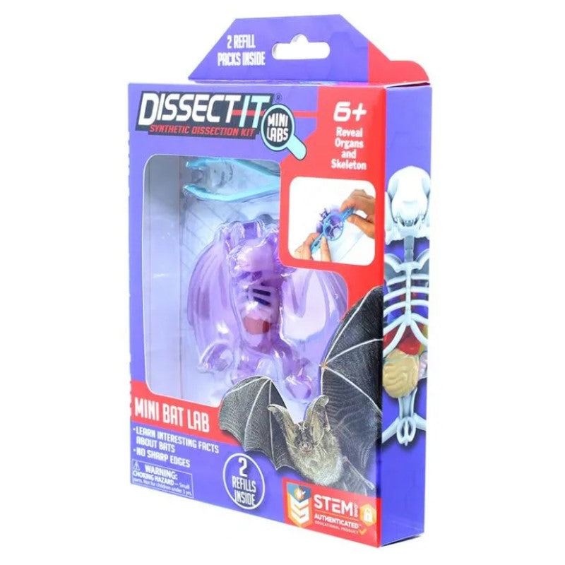 Kit De Dissecação Mini Lab Dissect-it - Candide