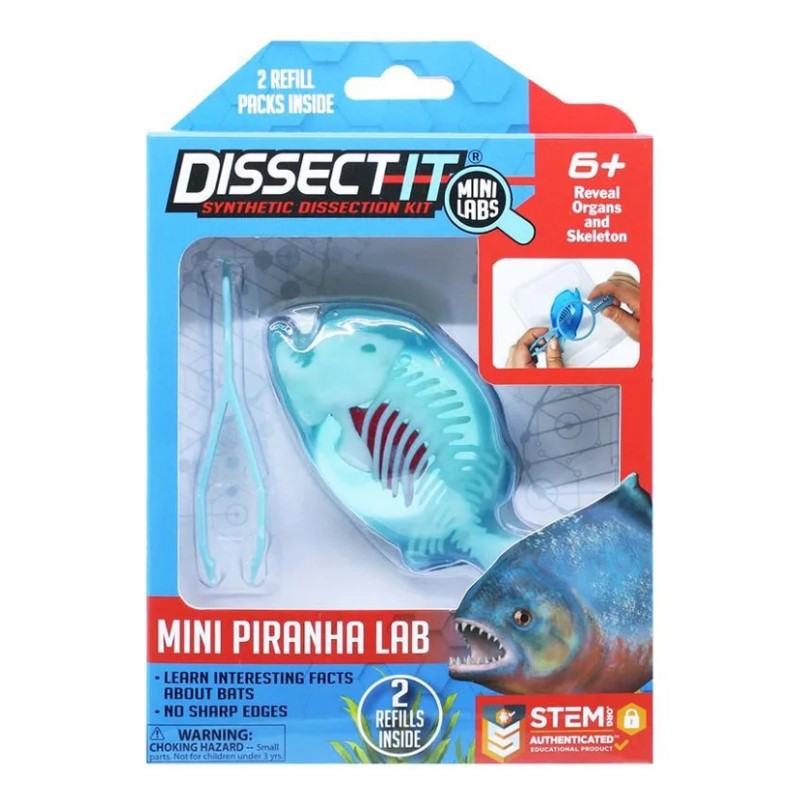 Kit De Dissecação Mini Lab Dissect-it - Candide