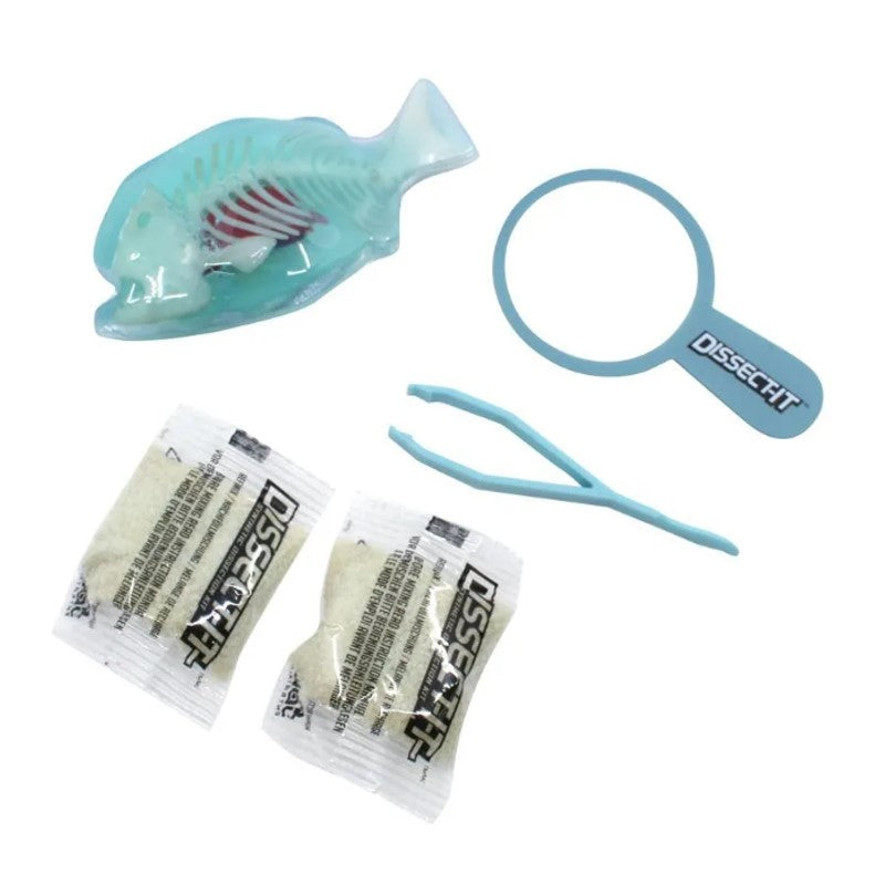 Kit De Dissecação Mini Lab Dissect-it - Candide