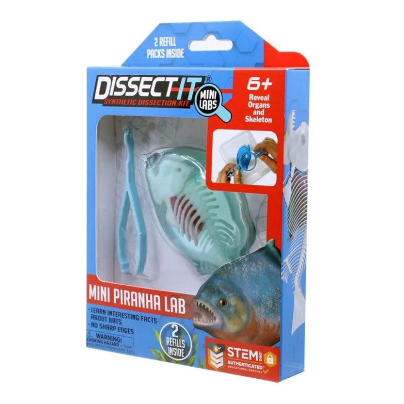 Kit De Dissecação Mini Lab Dissect-it - Candide