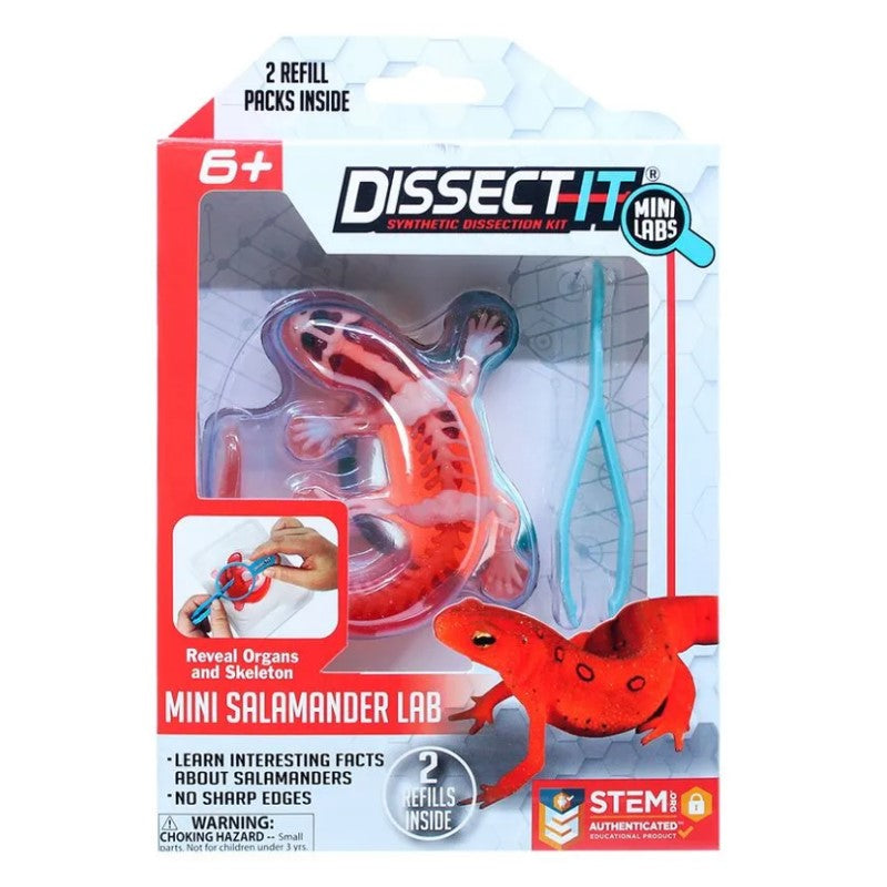 Kit De Dissecação Mini Lab Dissect-it - Candide