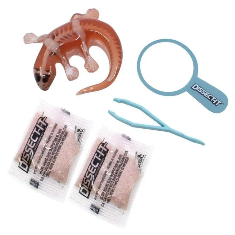 Kit De Dissecação Mini Lab Dissect-it - Candide