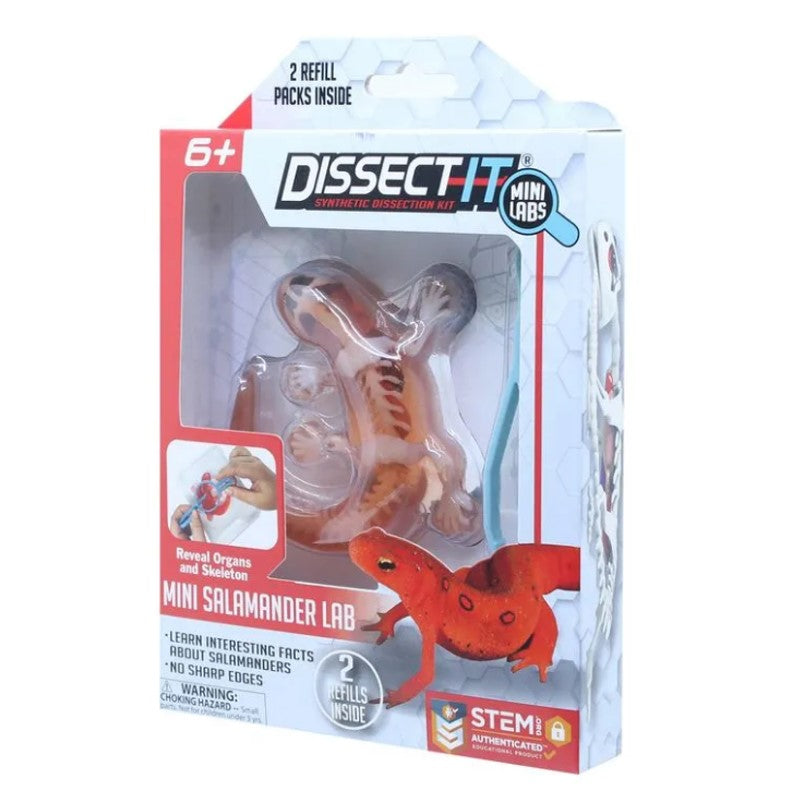 Kit De Dissecação Mini Lab Dissect-it - Candide