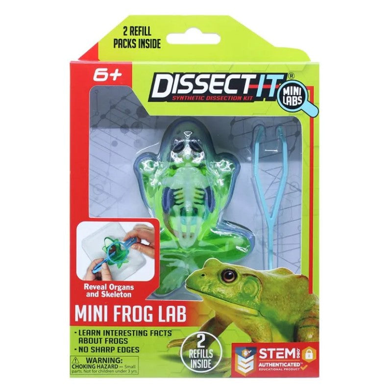 Kit De Dissecação Mini Lab Dissect-it - Candide