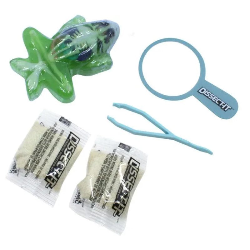 Kit De Dissecação Mini Lab Dissect-it - Candide