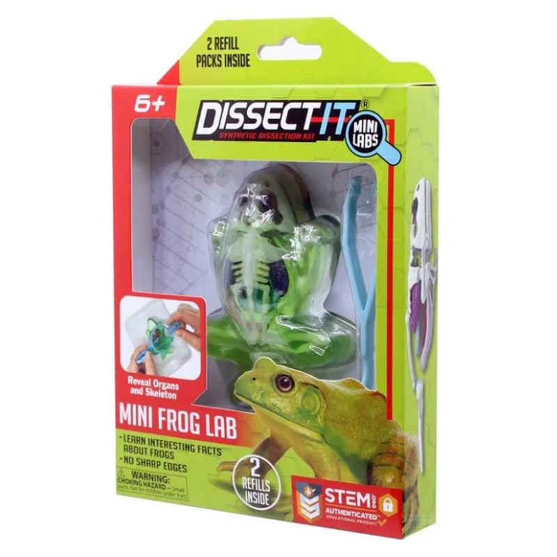 Kit De Dissecação Mini Lab Dissect-it - Candide