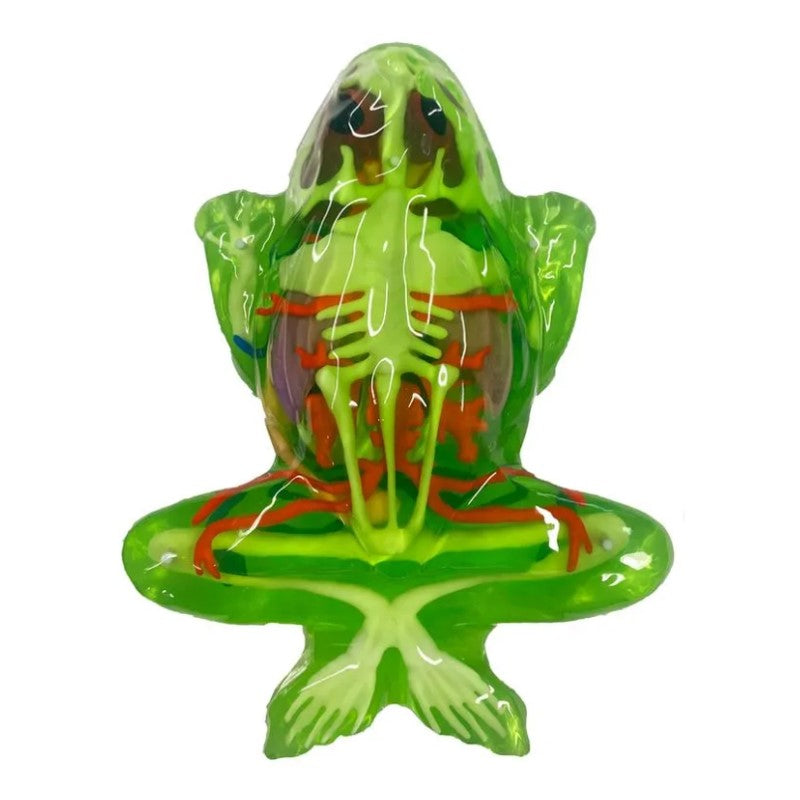 Kit de Dissecação Dissect-It Super Lab Sapo - Candide