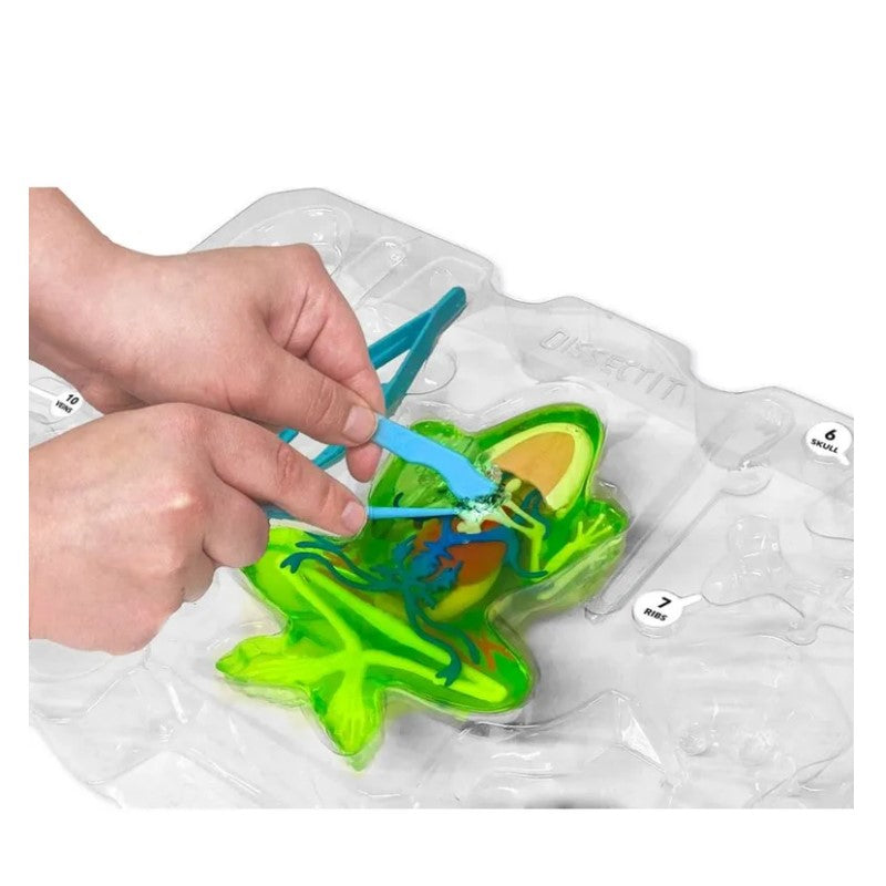 Kit de Dissecação Dissect-It Super Lab Sapo - Candide