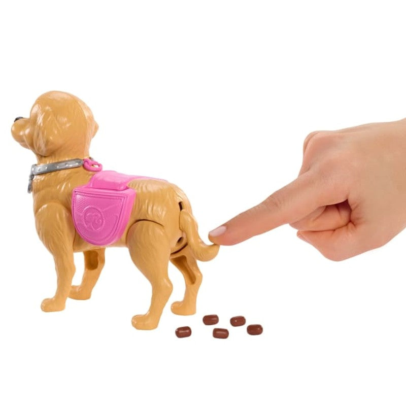 Barbie Malibu Passeio com Cachorrinho - Mattel