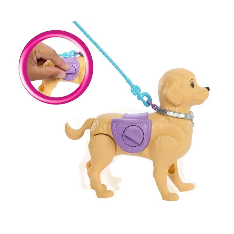 Barbie Boneca Brooklyn Passeio com Cachorrinho - Mattel