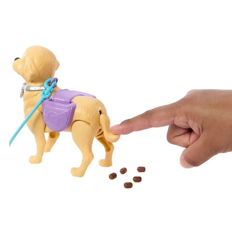 Barbie Boneca Brooklyn Passeio com Cachorrinho - Mattel