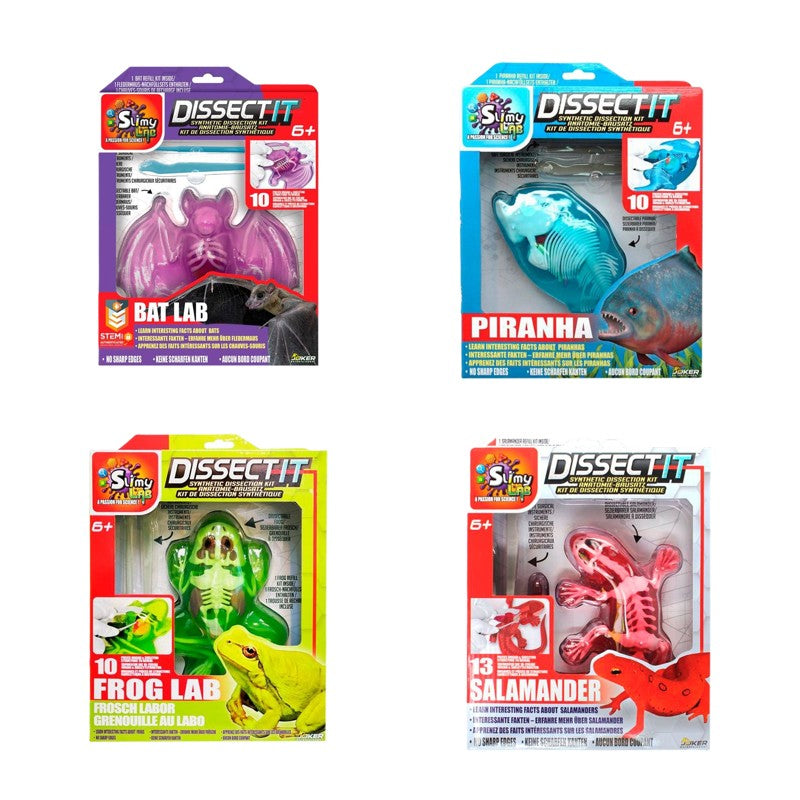 Kit de Dissecação com Refil Lab Dissect-It - Candide