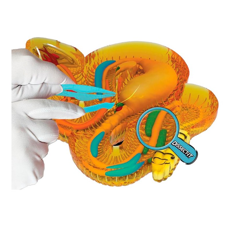 Kit de Dissecação Dissect-It Super Lab Cobra - Candide
