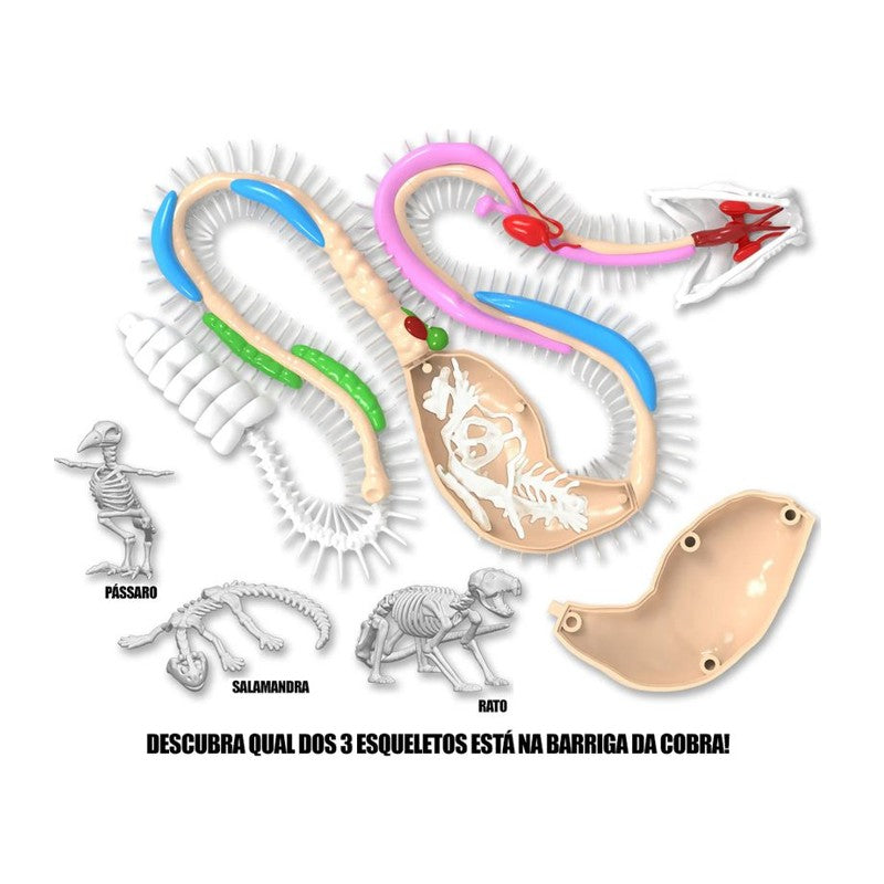 Kit de Dissecação Dissect-It Super Lab Cobra - Candide