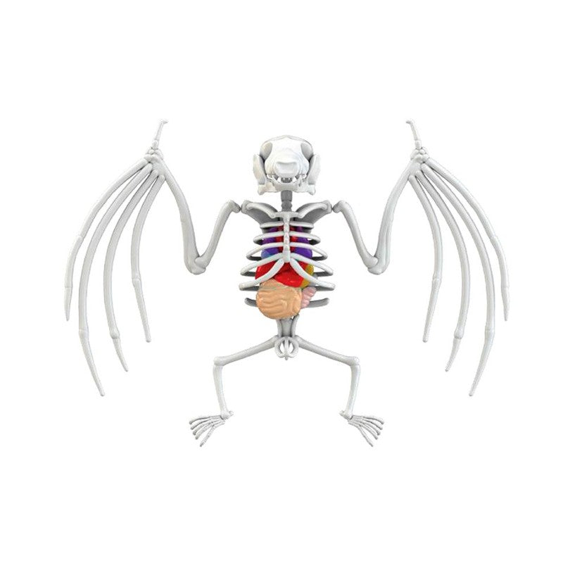 Kit de Dissecação com Refil Lab Dissect-It - Candide