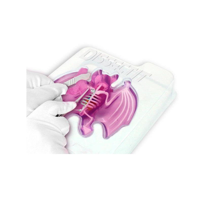 Kit de Dissecação com Refil Lab Dissect-It - Candide