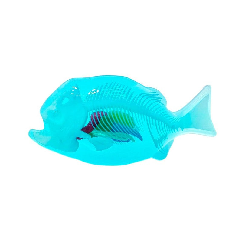 Kit de Dissecação com Refil Lab Dissect-It - Candide