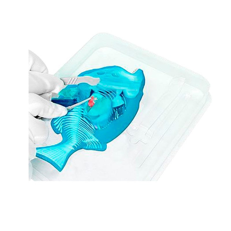 Kit de Dissecação com Refil Lab Dissect-It - Candide