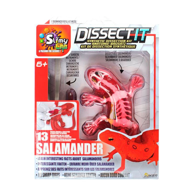 Kit de Dissecação com Refil Lab Dissect-It - Candide