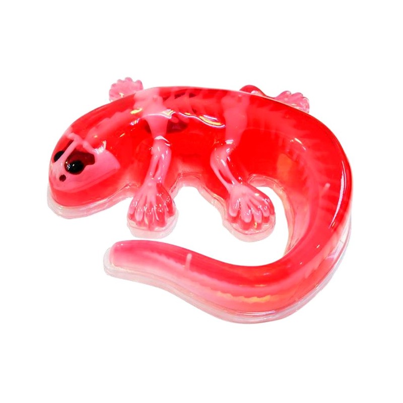 Kit de Dissecação com Refil Lab Dissect-It - Candide