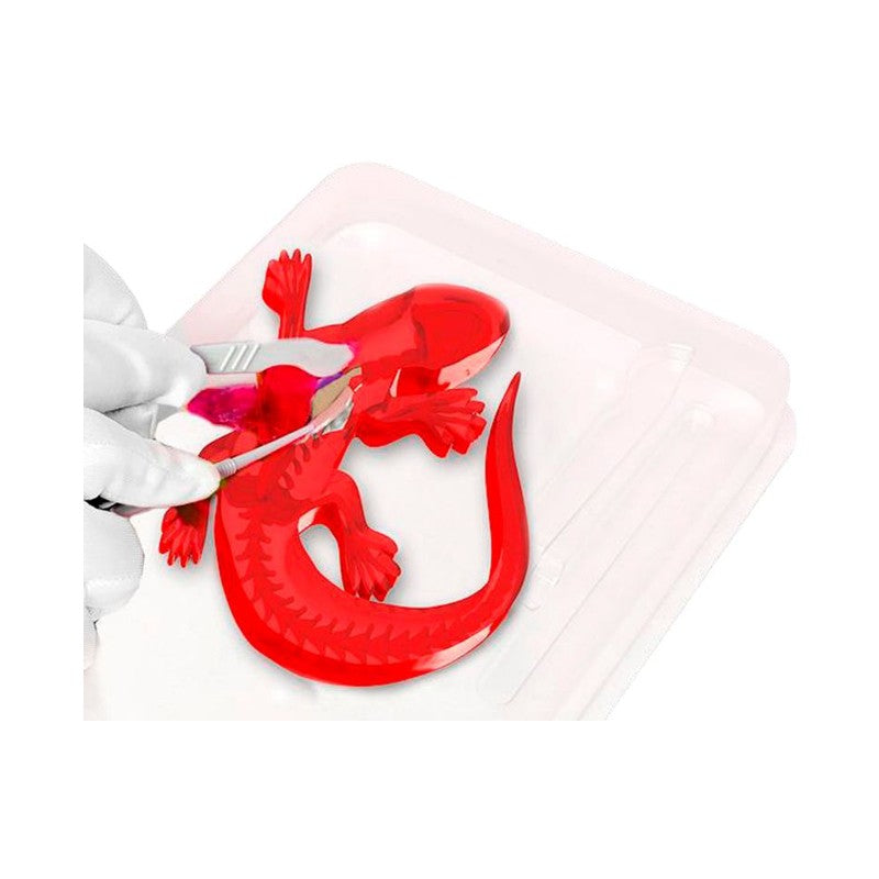 Kit de Dissecação com Refil Lab Dissect-It - Candide