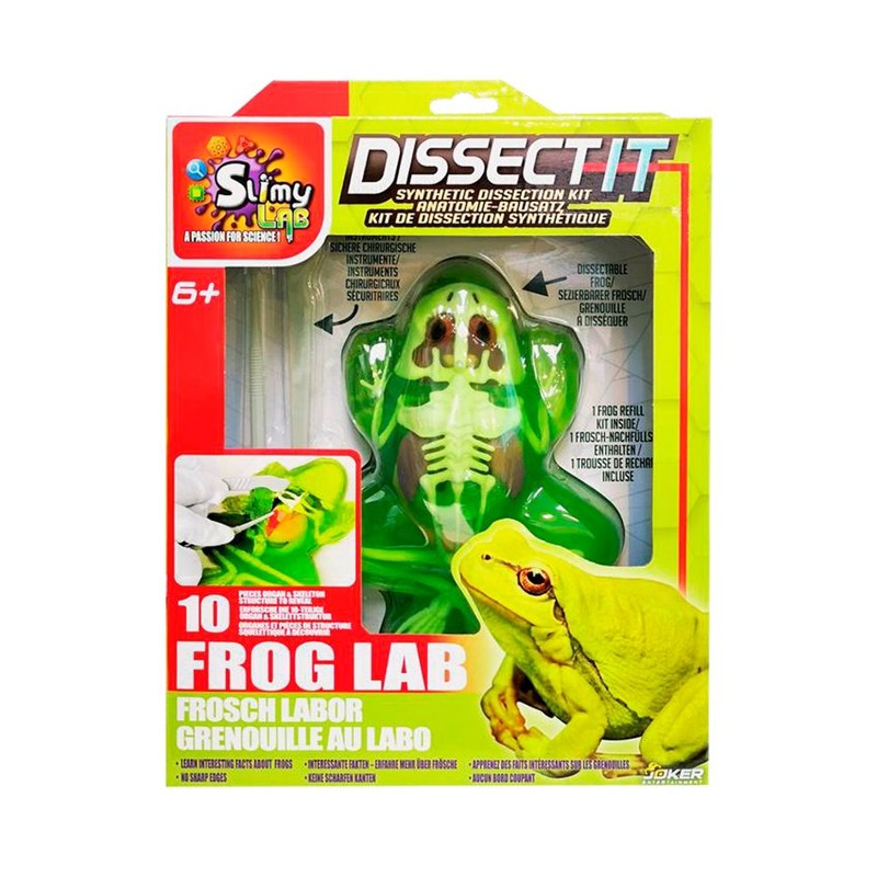 Kit de Dissecação com Refil Lab Dissect-It - Candide