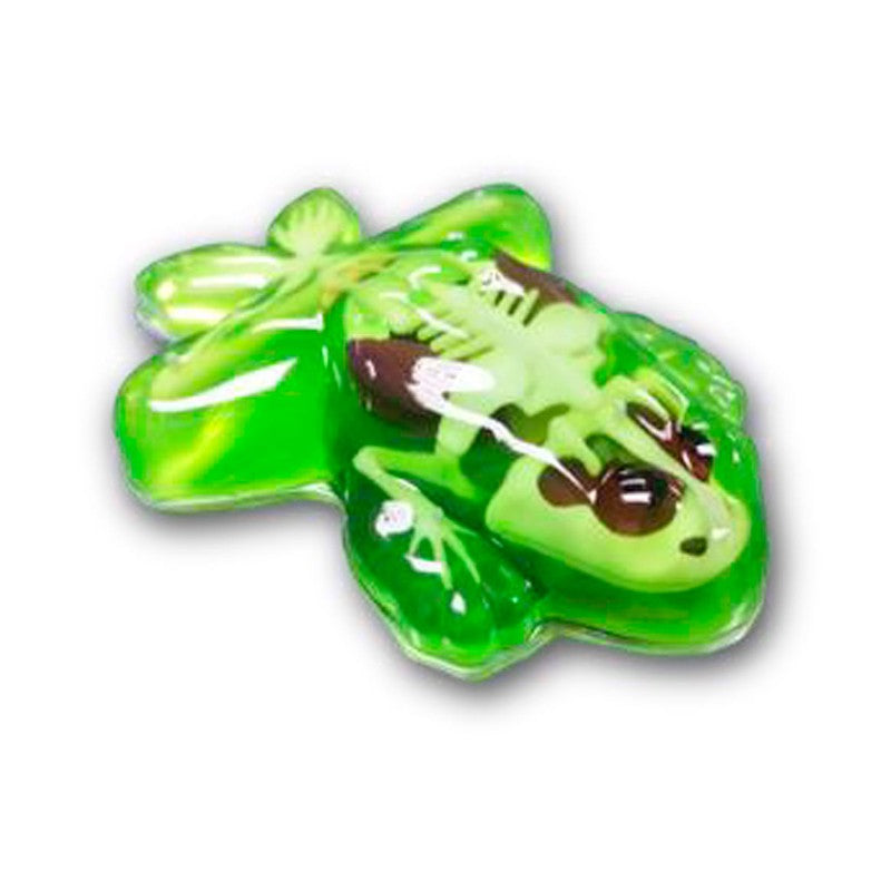 Kit de Dissecação com Refil Lab Dissect-It - Candide