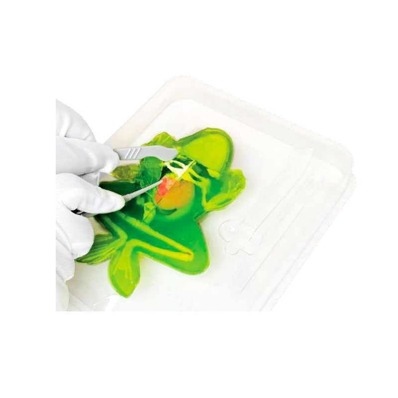 Kit de Dissecação com Refil Lab Dissect-It - Candide